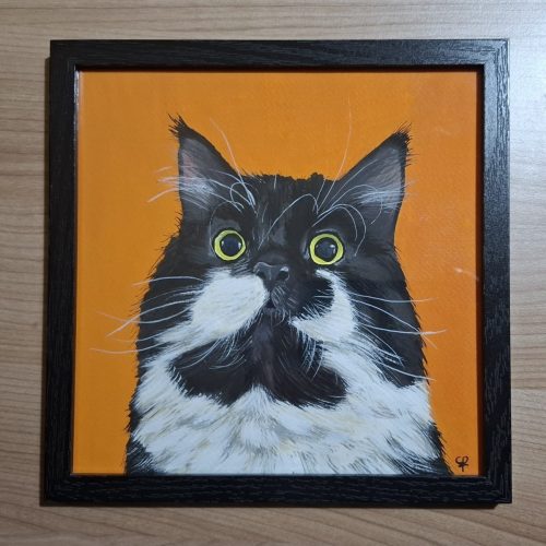 Staarpoes | €75