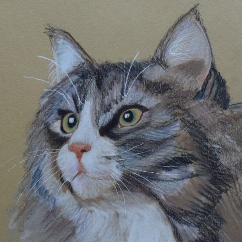 Poes Lola