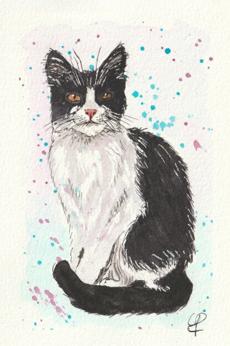 Kat