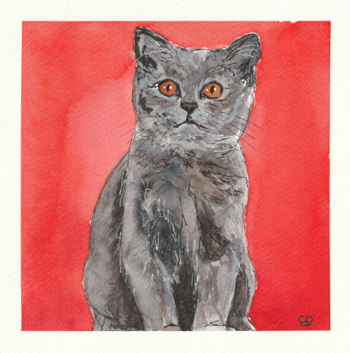 Kat Smokey