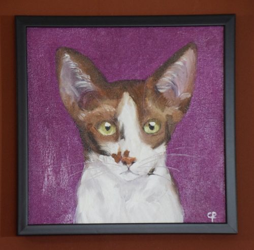 Poes Dobby