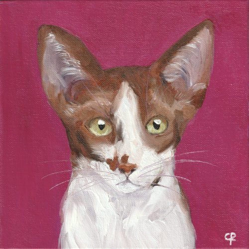 Poes Dobby