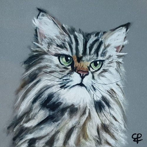 Poes Dirk